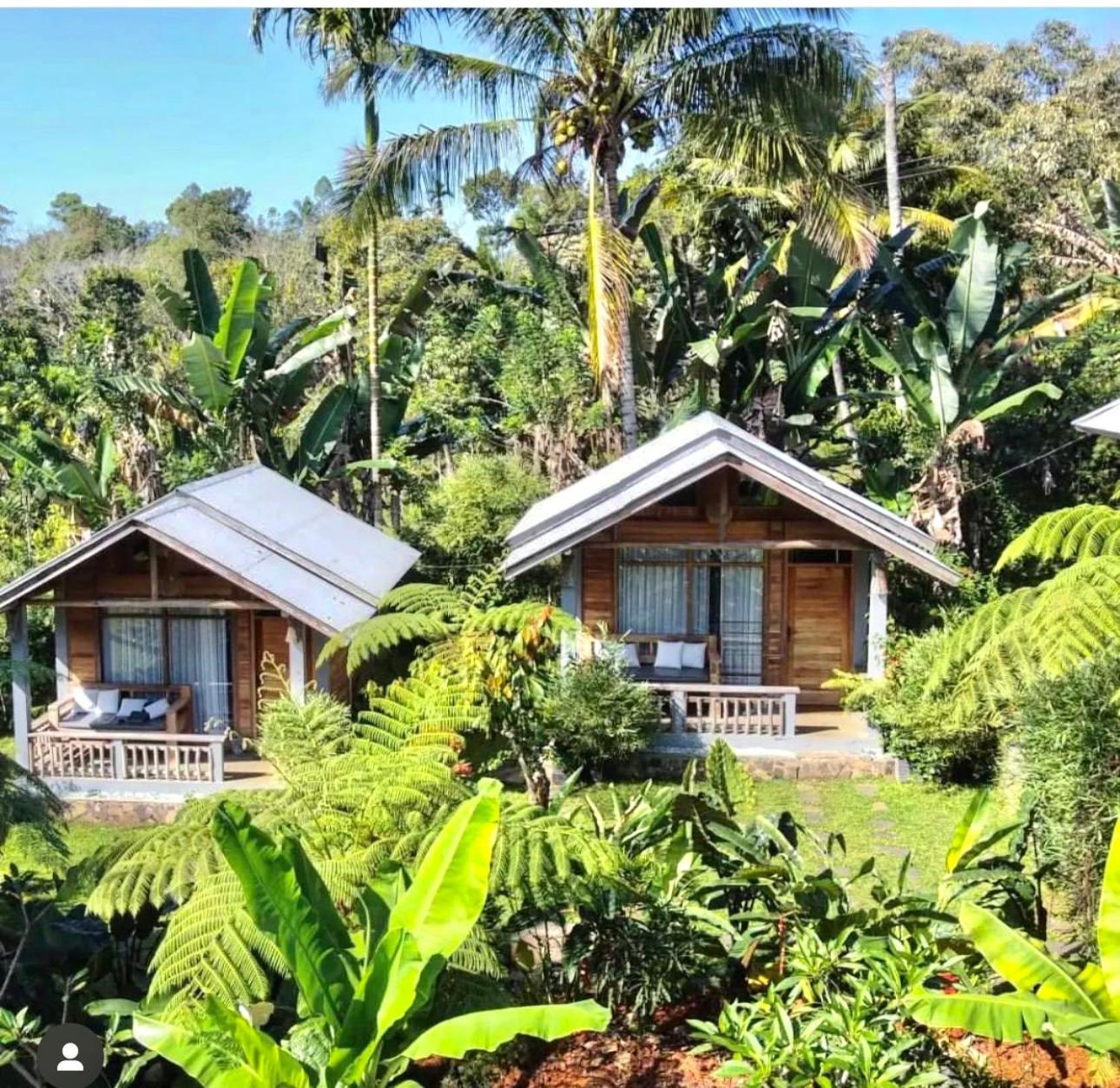 The Geckos Homestay Kelimutu Exterior foto